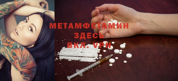 шишки Корсаков
