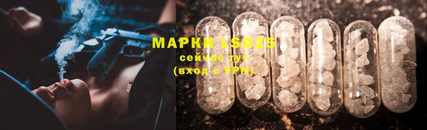 шишки Корсаков