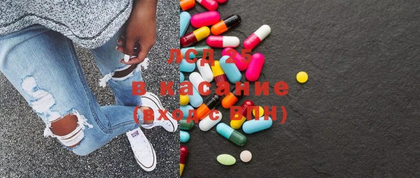 шишки Корсаков