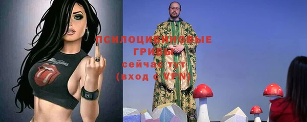шишки Корсаков