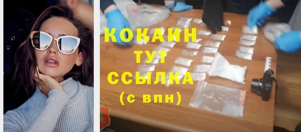 шишки Корсаков