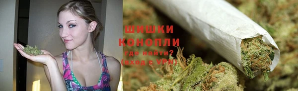 шишки Корсаков