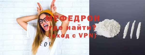 шишки Корсаков