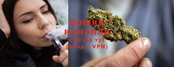 PSILOCYBIN Коряжма