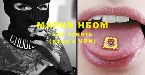 шишки Корсаков