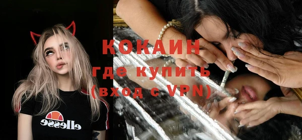 шишки Корсаков