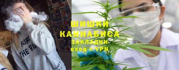 PSILOCYBIN Коряжма