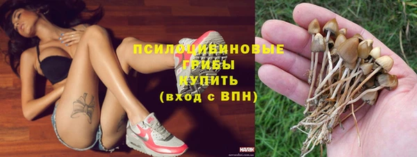 шишки Корсаков