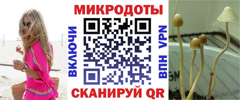 Псилоцибиновые грибы Cubensis  hydra ссылки  Электросталь 