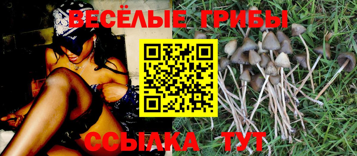Галлюциногенные грибы мухоморы  Псилоцибиновые грибы GOLDEN TEACHER  Электросталь  Вход с VPN 