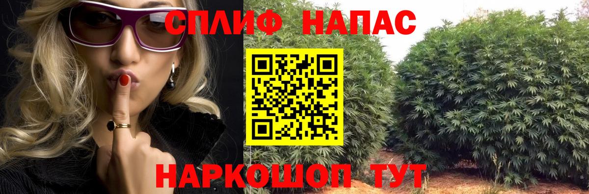 Марихуана планчик Электросталь